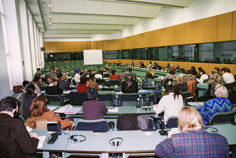 Committee on Women's Rights meeting at the European Parliament in Brussels