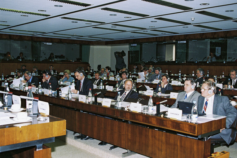 Fotografija 6: EU-Czech Republic Joint Committee meeting