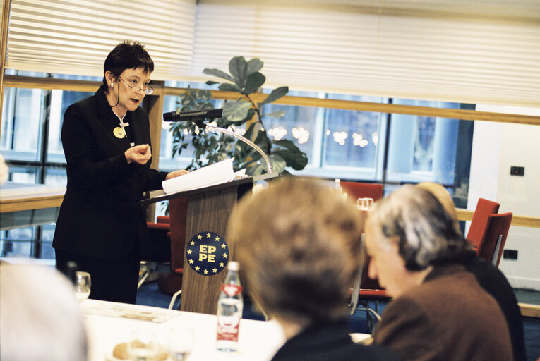 Meeting at the European Parliament