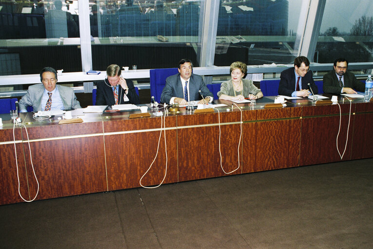Meeting of the PanEuropa group
