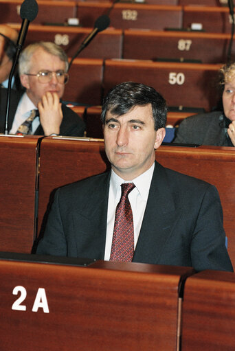 MEP Gay MITCHELL in Plenary Session in Strasbourg