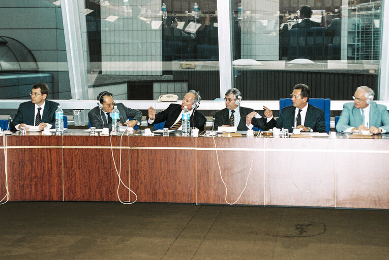 Meeting at the European Parliament in Strasbourg