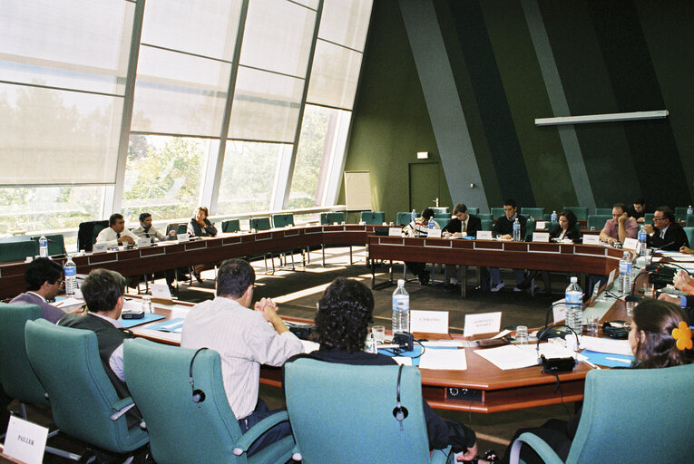 Meeting with Portuguese MEPs at the European Parliament in Strasbourg