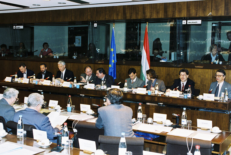 Foto 7: EU-Hungary Joint Parliamentary Committee