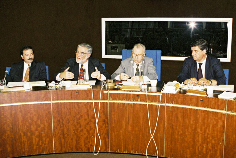 Meeting in Strasbourg