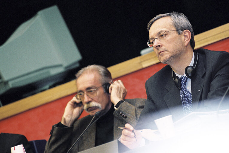 Meeting at the European Parliament