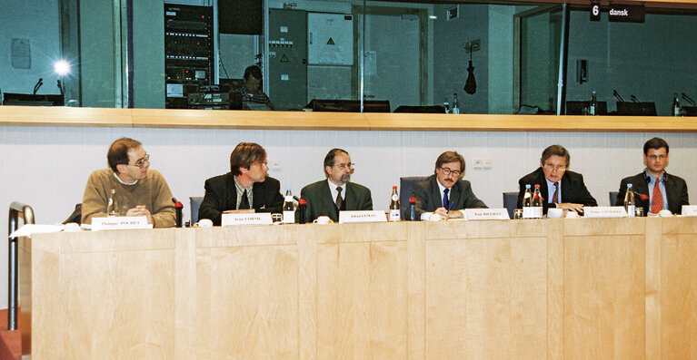 Meeting at the European Parliament