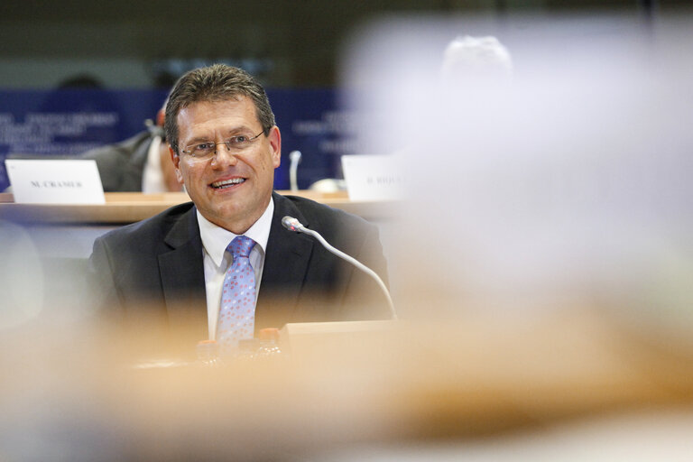 Fotografija 9: Hearing of Commissioner-designate for Transport and Space - TRAN