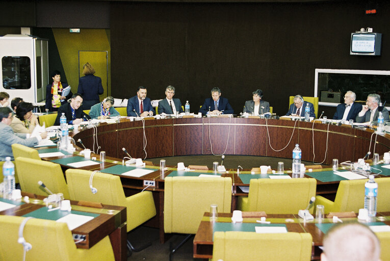 Meeting at the European Parliament in Strasbourg