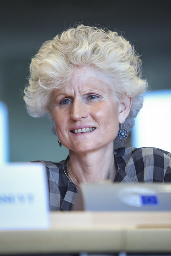 IMCO hearing on 'European Services e-card '