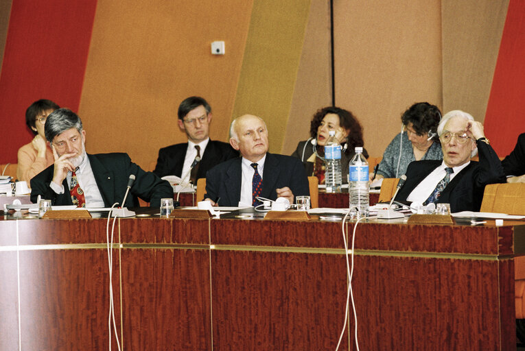 Foto 8: Meeting at the European Parliament in Strasbourg