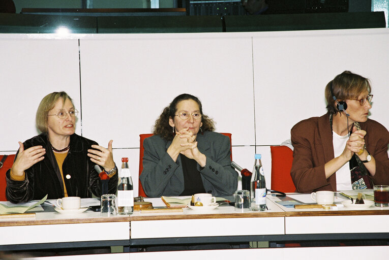 Φωτογραφία 6: Meeting at the European Parliament