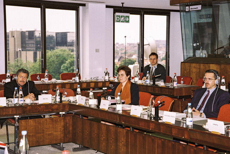 Photo 3 : Committee on Foreign Affairs, Security and Defence Policy meeting