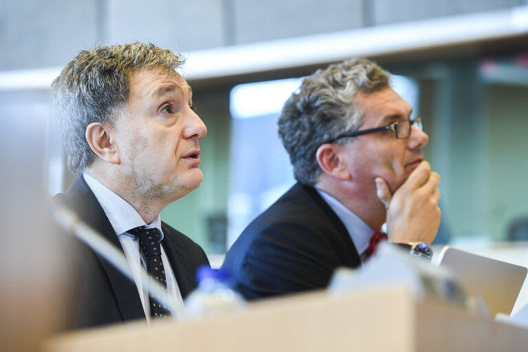 IMCO Working Group on the Digital Single Market