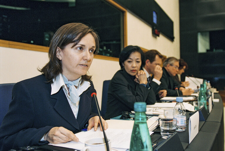 Fotografia 13: Public Hearing:  China and the EU arms embargo: Time to lift the embargo ?