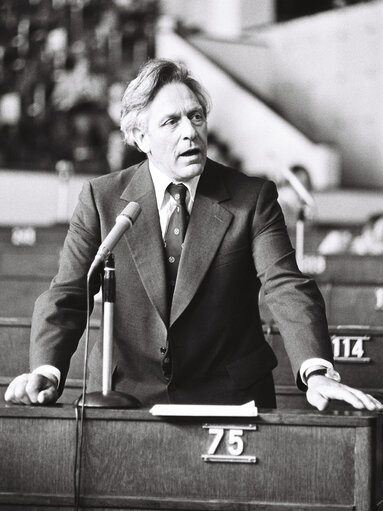 Plenary session Strasbourg may 1976