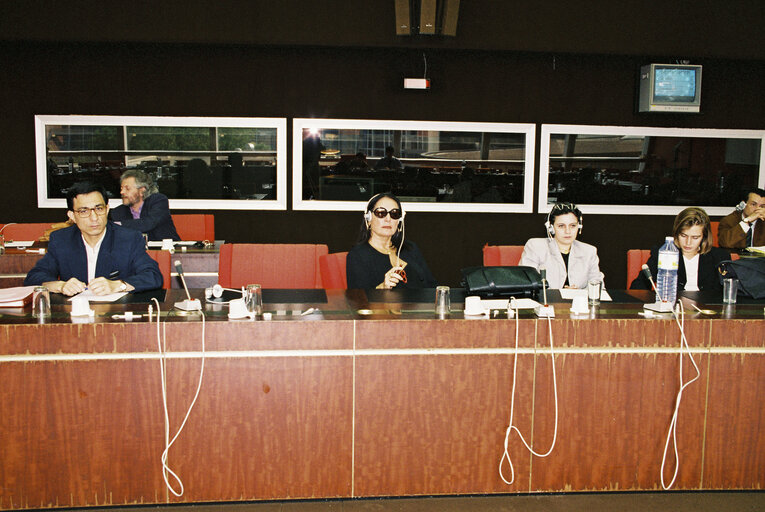 Fotografia 6: The representative Mar??a Izquierdo Rojo Vice President of the Delegation for the relations of the EU with the Maghreb initiated a session at the European Parliament on the Amazigh culture, June 11, 1997 in Strasbourg