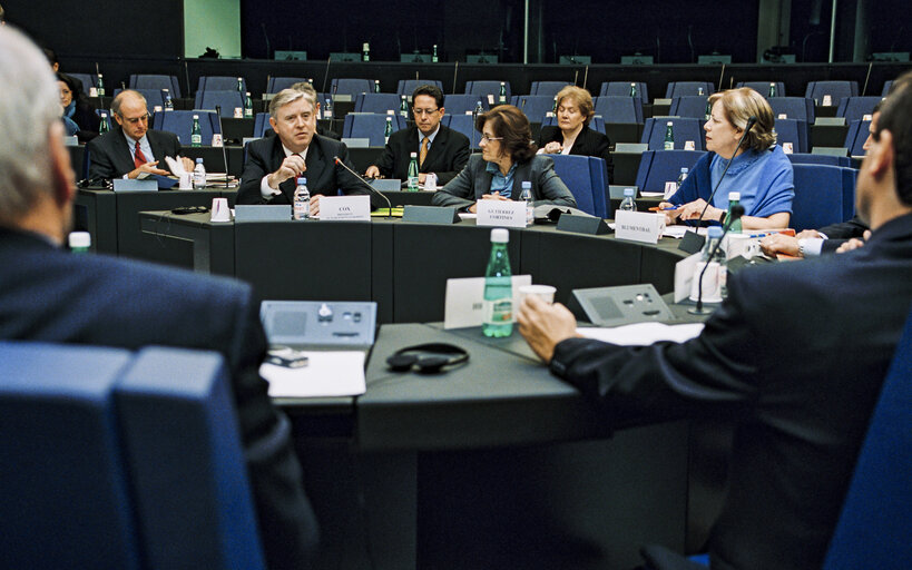 Meeting at the European Parliament