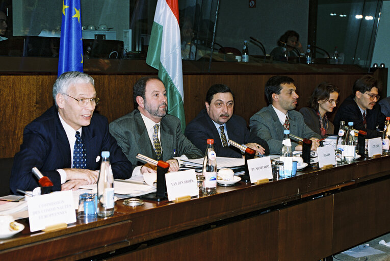 EU-Hungary Joint Parliamentary Committee