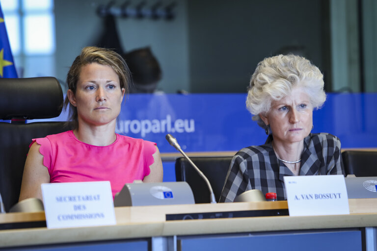 IMCO hearing on 'European Services e-card '