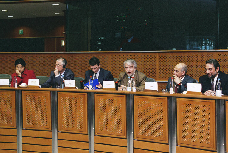 Photo 6: Meeting of the Delegation for relations with the People's Republic of China