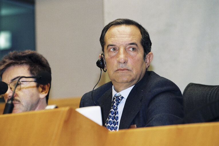 Suriet 4: EP Vice-President Alessandro FONTANA presides over a plenary session in Brussels