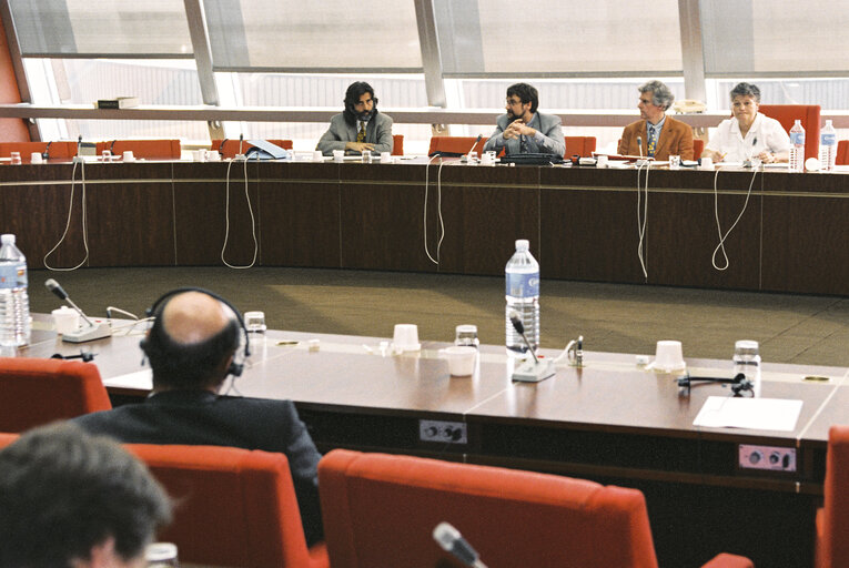 Meeting at the European Parliament in Strasbourg