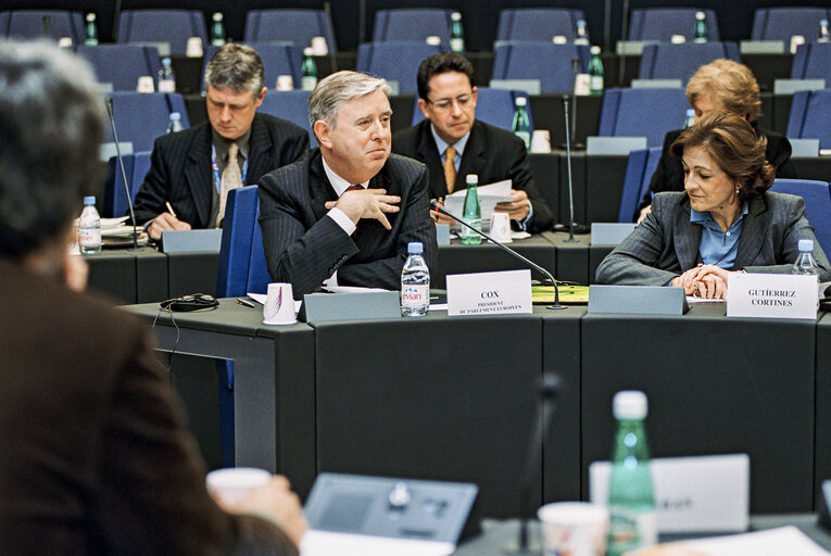 Meeting at the European Parliament