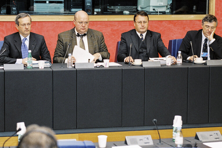 Fotografija 11: Meeting at the European Parliament