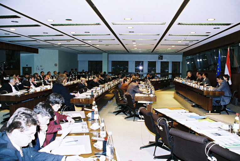 Foto 9: EU-Hungary Joint Parliamentary Committee