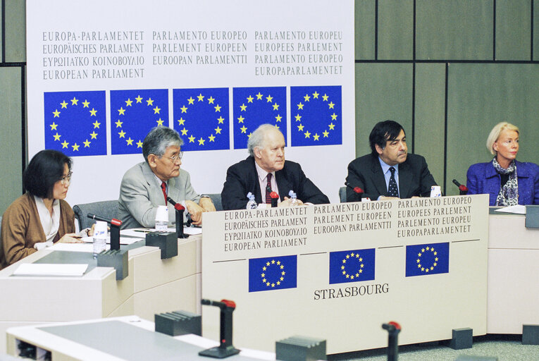 Nuotrauka 9: EP-Japan delegation press conference