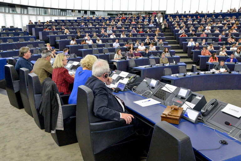 Open Day of the European institutions 2017 - Strasbourg -   Animation photo