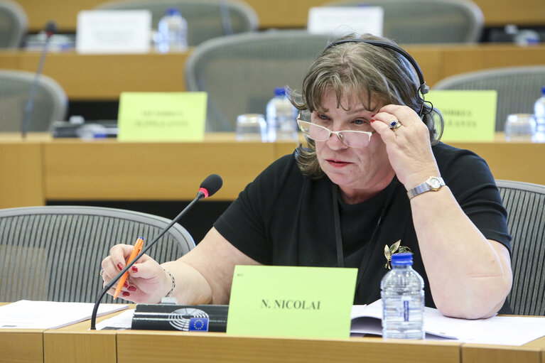 Foto 8: SEDE Subcommittee - The future of conventional arms control in Europe - Exchange of views