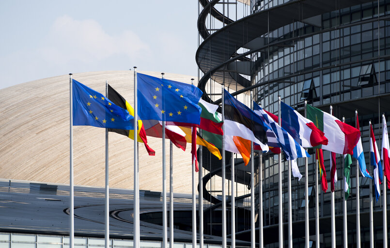 Fotografija 13: Flags in the European Parliament in Strasbourg
