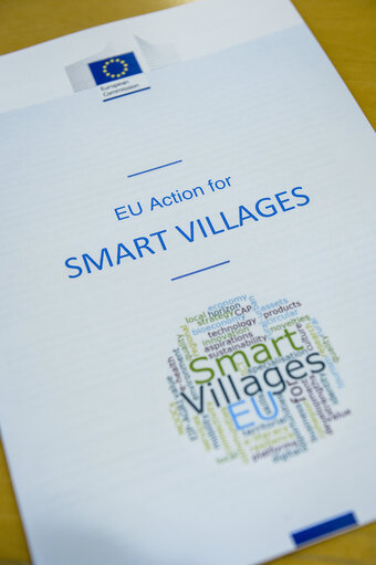 EU Action for Smart Villages