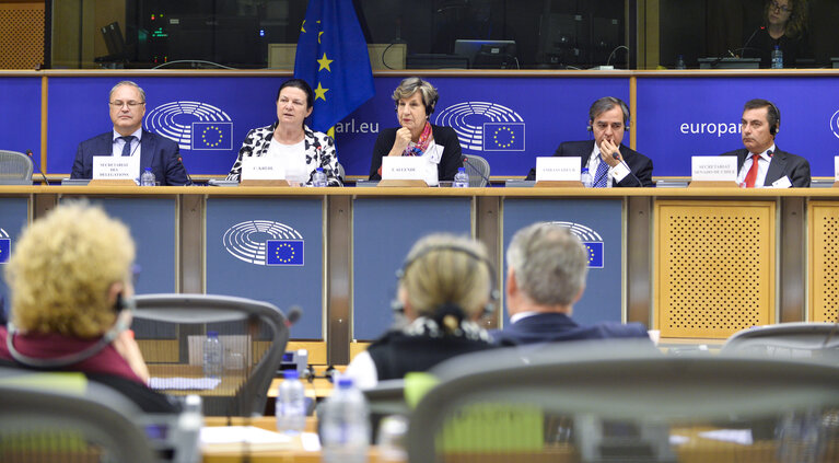 Fotografie 10: 24th meeting of the EU-Chile Joint Parliamentary committee - Opening session