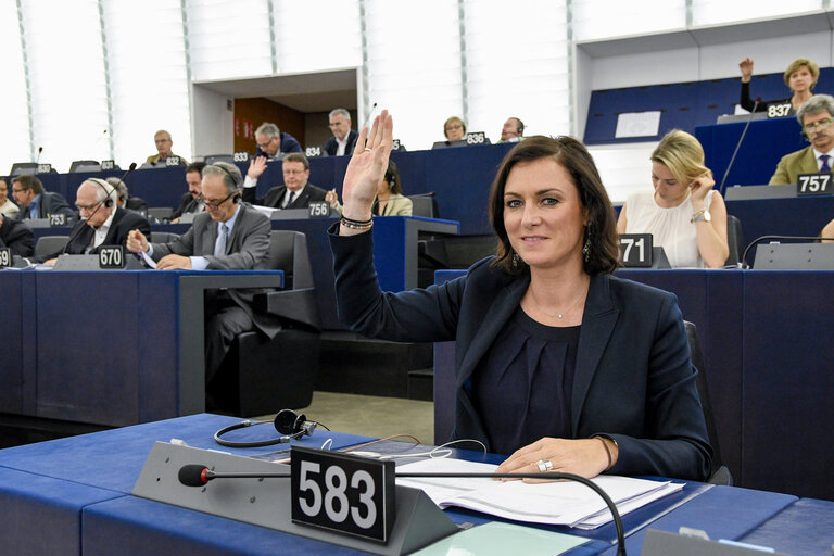 Foto 6: Elisabeth KOSTINGER in plenary session Week 24  2017 in Strasbourg