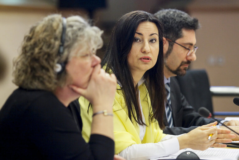 Photo 3: CULT Committee - Exchange of views with the European Court of Auditors,  Hearing on ECA Special Report on Education