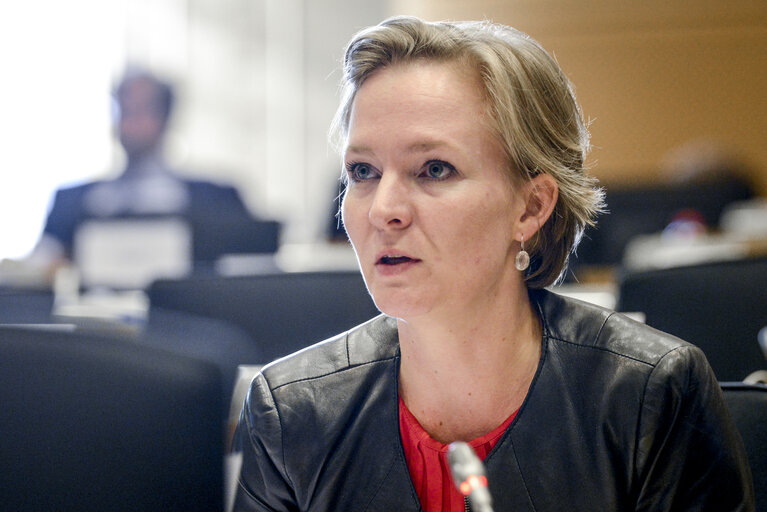 Fotografie 3: INTA Committee hearing on Dual-use reform: ' How to ' future-proof ' EU export controls ? '