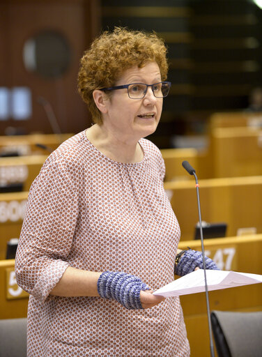 Foto 40: Plenary session week 22 in Brussels - The new European Consensus on Development - our world, our dignity, our future