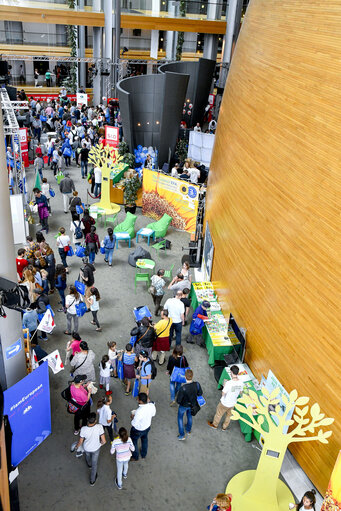 Foto 28: Open Day of the European institutions 2017 - Strasbourg -   Animation photo