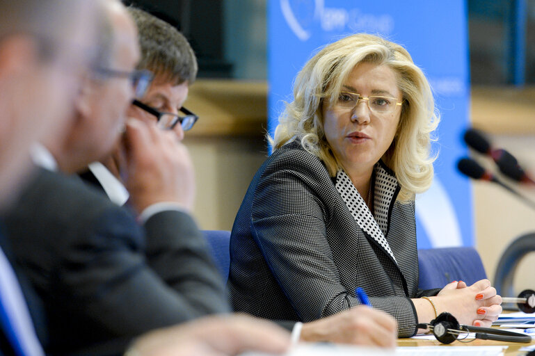 EU Action for Smart Villages