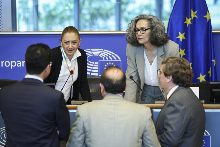 Photo 17 : EP Delegation for Relations with Central America - Meeting with the Minister for Foreign Affairs of Honduras