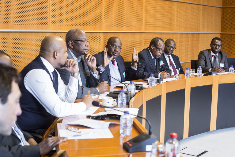 Nuotrauka 1: Meeting with a delegation of the Congolese Opposition Coalition