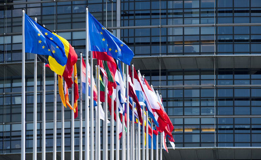 Fotografija 14: Flags in the European Parliament in Strasbourg