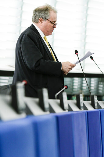 Fotografi 50: Plenary session Week 24 2017 in Strasbourg - Situation in the Democratic Republic of Congo - Statement by the VPC/HR