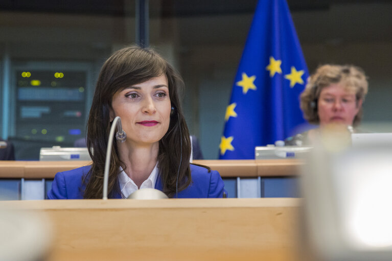 Fotografie 3: Joint ITRE CULT Committees - Hearing of Mariya GABRIEL, Commissioner-designate for the Digital Economy and Society portfolio