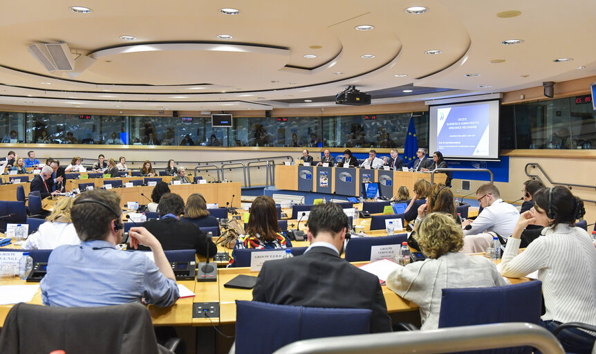 Photo 5: DROI/INTA joint hearing on Business and Human Rights in EU External Policies -  Non-financial reporting and due diligence