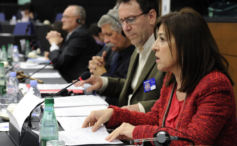 Fotografija 11: Intergroup meeting for traditional minorities