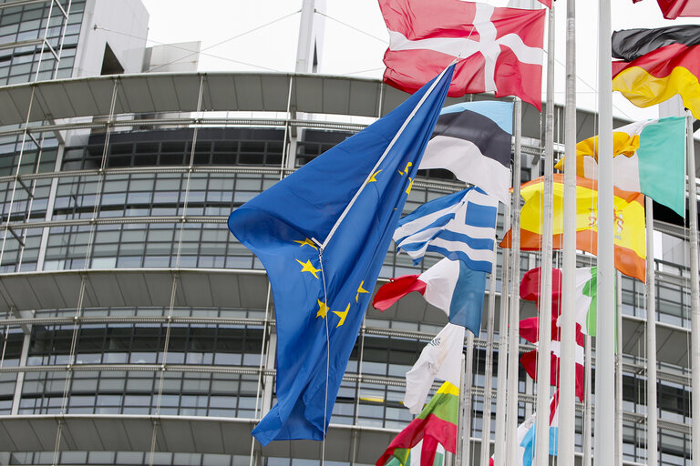 Foto 24: Festival of Europe Open day 2013 in Strasbourg